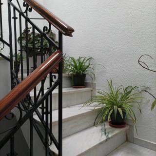 Medina Baguh (VFT) - 9