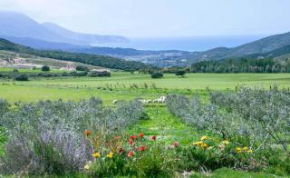 Agriturismo Il Ginepro - 9