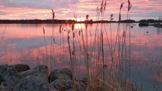 3 Bedroom Cottage with Sauna by the Sea - 8