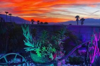 Mineral Saltwater Solar heated Pool & Spa Oasis with mountain views and Koi pond - 2