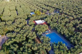 saracena Holiday Home with Private Beach and Swimming Pool - 1