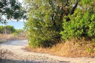 BAGHEERA Village Naturiste - 5