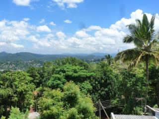 Hanthana Breeze Home Stay - Kandy - 3