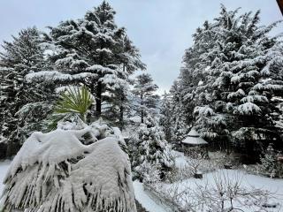 App. Franziska Villa Fabbrani - 6