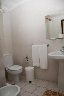 Restaurante e Residencial O Resineiro - Vidago - 9