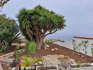 Tenerife Apartment Dulcynea with terrace and garden 600m2 with ocean and Teide view - 1