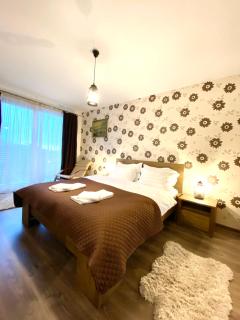 Urban Guesthouse - Braşov - 9