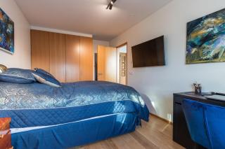 Sunny Central Downtown Apartment - 4