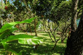 jackie´s guest house - 1