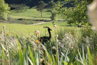 Malachite Manor - Underberg - 3