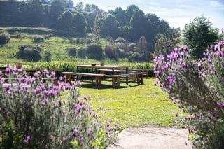 Malachite Manor - Underberg - 1