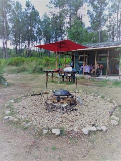 Cuckoo Lake Forest Cabin - Saint-Vincent-Jalmoutiers - 9