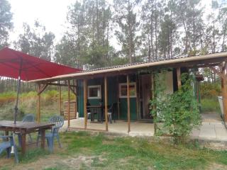 Cuckoo Lake Forest Cabin - Saint-Vincent-Jalmoutiers - 1