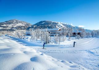 Dolomitengolf Hotel & Spa - 2