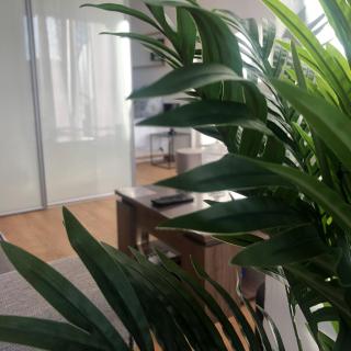 L'APPART'MARCEL*T1bis*FIBRE*PARKING*CHEK-IN*24/24 - Blagnac - 4