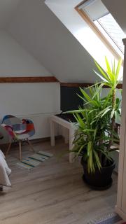 Otto's Guesthouse - Prejmer - 5