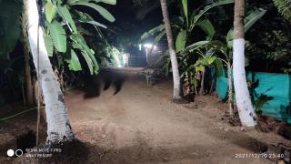 Shree Samarth Resort - Adi - 6