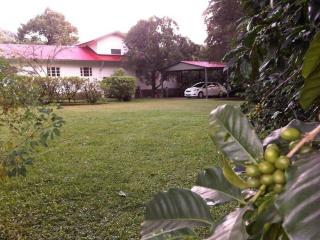 Casa Romero - A cozy tradition - Boquete - 6