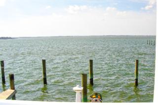 Thunder Island Condos III - 1