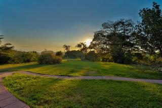 Sunset Monteverde - Monteverde - 2