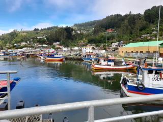 Cabaña Vista Queule - 1