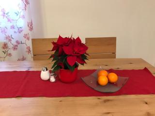 Apartment am Schlosspark - Egra - 7