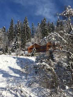 Privatna Sadiba Chalet - Oryavchyk - 0