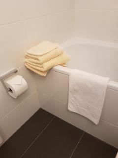 Quartier 311 mit Pool und Sauna - Lahnstein - 1