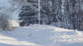 L'ATELIER, chalet 3* - Vecoux - 6