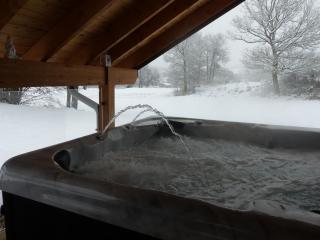 Chalet avec Jacuzzi et Piscine, déco soignée esprit cocooning - 4