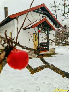 Kosta's romantic house - Plav - 1