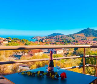 Appartement Sous le Soleil vue mer, parking inclus , clim ,wifi - Collioure - 7