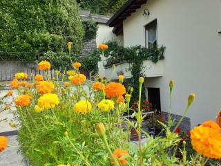 La casa degli oleandri - Perledo - 6
