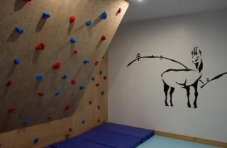 Chalet de standing 9P avec sauna & salle d'escalade - La Bresse - 5