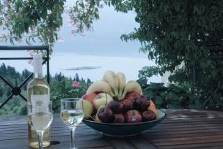 Evreti Villa with Stunning views, near Fiscardo - 4