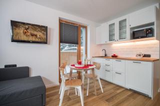 ApartSerwis - Apartament Kopieniec - Zakopane - 0