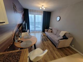 Apartament Warszawska 26 - Klimatyzacja - Gorzów Wielkopolski - 6