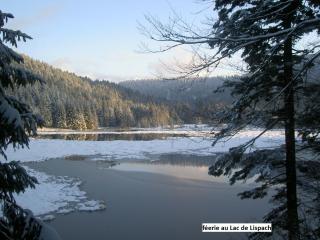 Le Chalet Bel Air - Oderen - 5