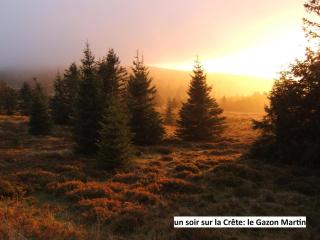 Le Chalet Bel Air - Oderen - 9
