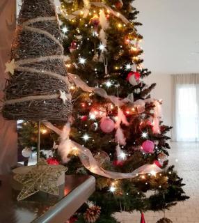 GreenHill Brasov - 5