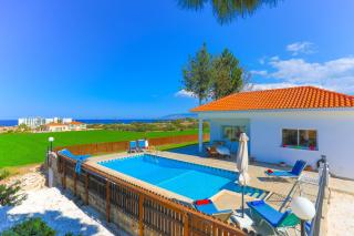 The Vines - Lachi - 0