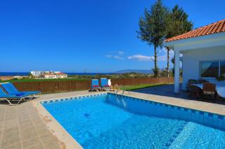The Vines - Lachi - 7