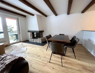 Modern crossing apartment facing Piz Rosatsch - St. Moritz - 0