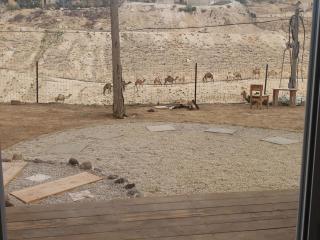 Moonlight Suite Arad צימר אור הירח, ערד - 6