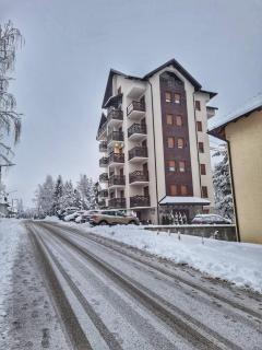 Apartman Smokvica - 9