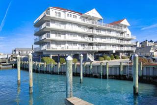 White Marlin - Ocean City - 4