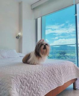 Hotel Manhattan Barbosa - 4