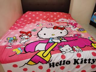 Bidor Totoro and One piece animation house - Kampong Kuala Gepal - 8
