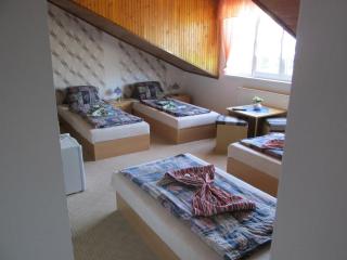 Pension U Vlášků - Karlovy Vary - 9