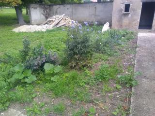 Mlle Labeaume - Aigueperse - 5